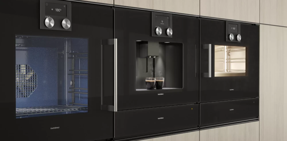 گالری فر بخار پز گگنو (GAGGENAU) مدل BSP251101