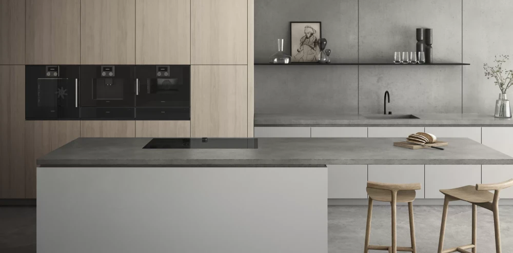 گالری فر بخار پز گگنو (GAGGENAU) مدل BSP251101